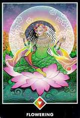 Queen of Pentacles Tarot Court Cards